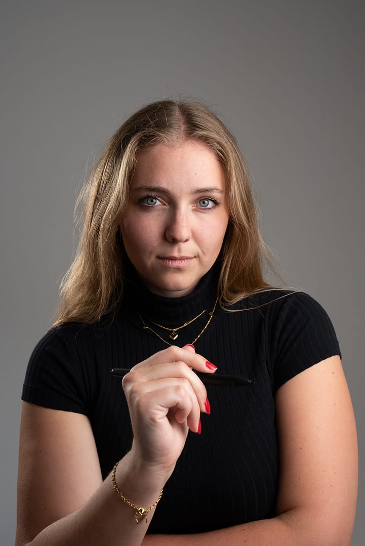 Ernst, Professionell